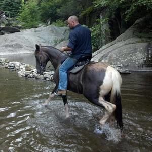 Meet your Posher, Steven